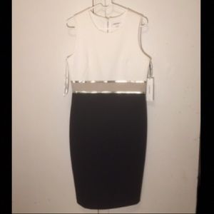 Calvin Klein Dress